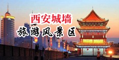 20P毛屄中国陕西-西安城墙旅游风景区